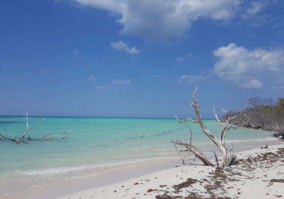 Playas de Cayo Jutias