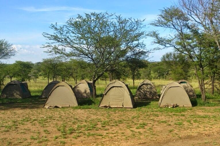 Tents Camping Serengueti National Park