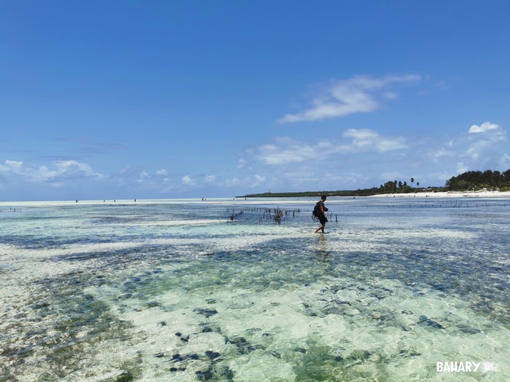 Las mejores playas de Zanzibar en Tanzania