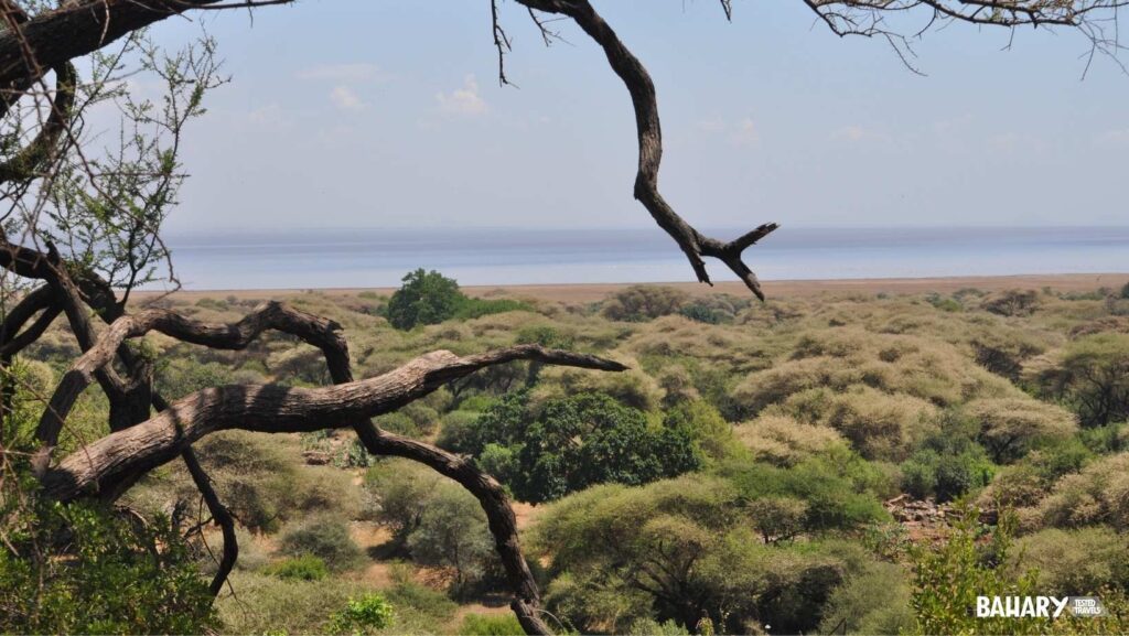 Manyara Lake National Park