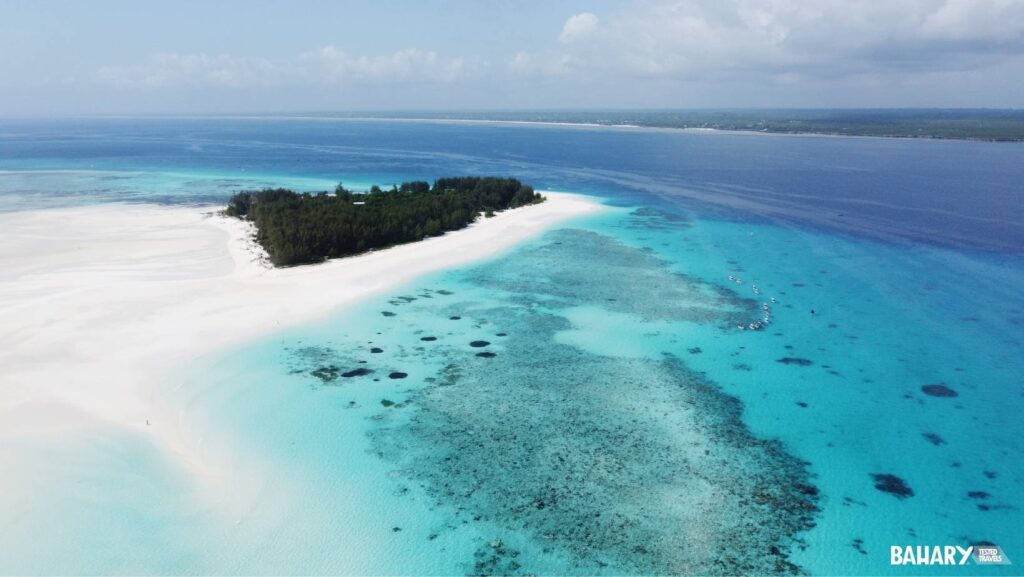 Isla de Mnemba - Zanzibar