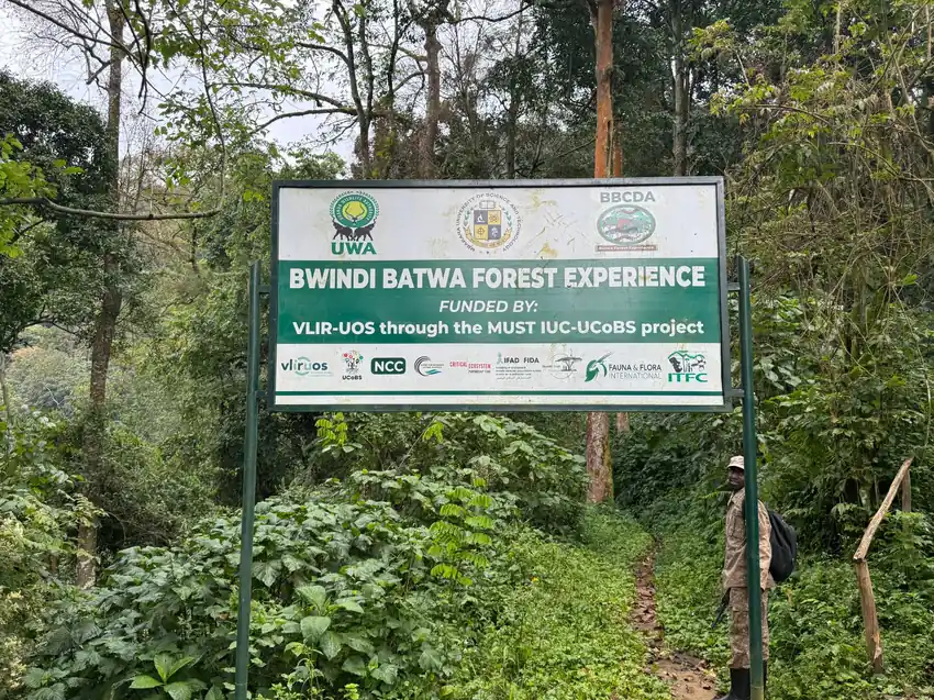 baharytravels-gorilas-bwindi-cartel