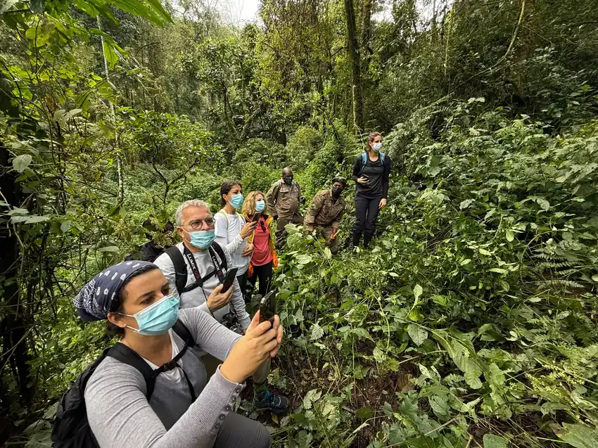 baharytravels-trekking-gorilas-uganda