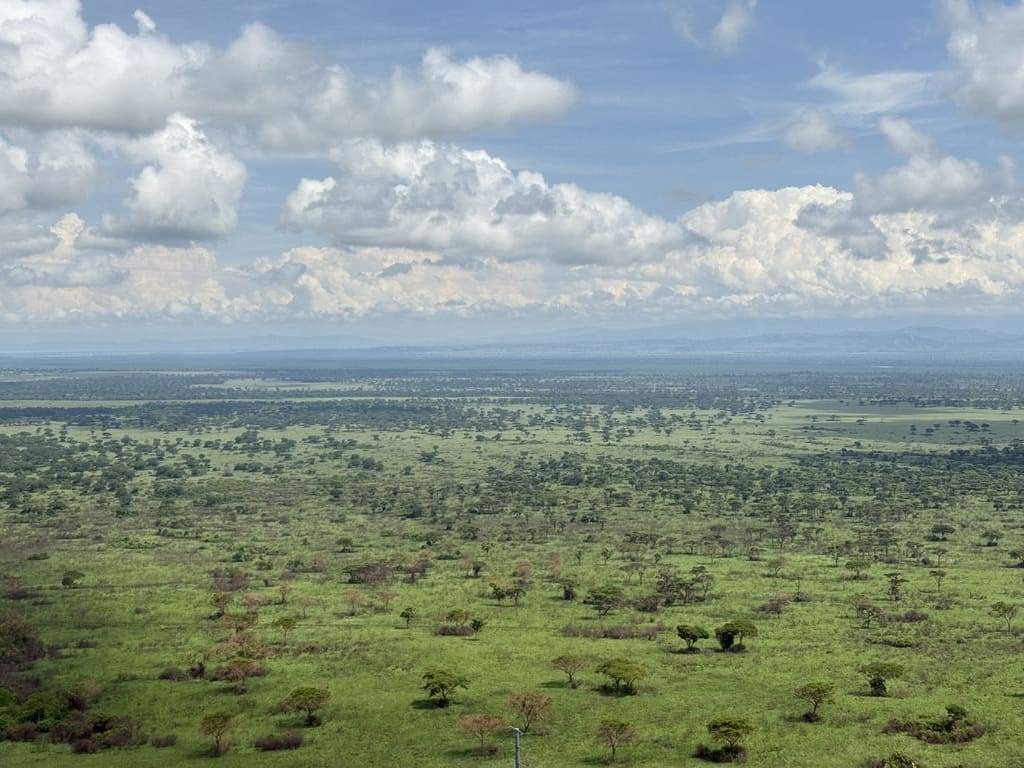 Queen-Elizabeth-Safari-Uganda