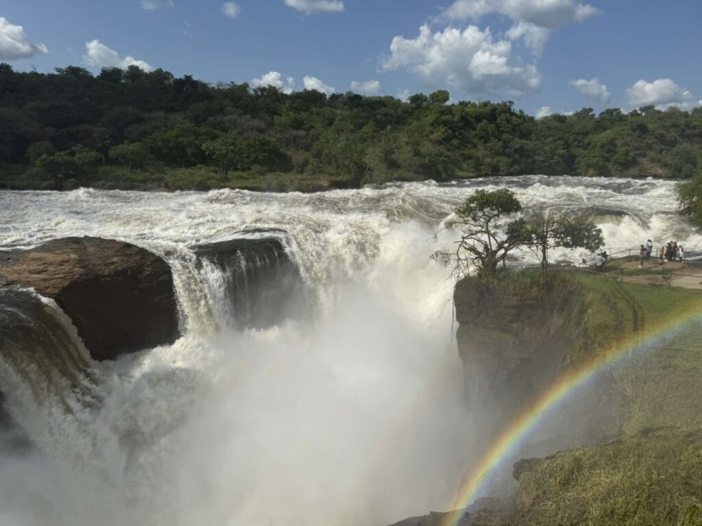 Uganda-Murchison-Falls-Bahary-Travels