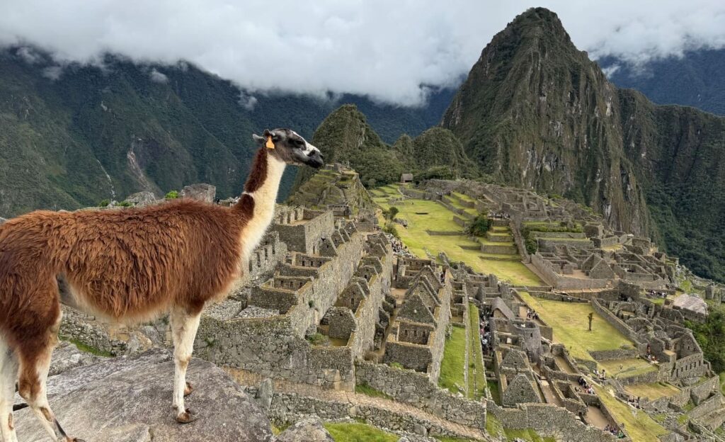 Machu Picchu con una llama en primer plano y montañas andinas al fondo en Perú