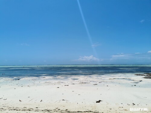 Playa de Kizimkazi- Zanzibar - Tanzania