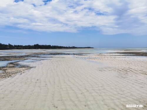 Playas Zanzibar - Kizimkazi Beach