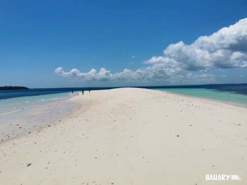 Buceo en Zanzibar - Playas