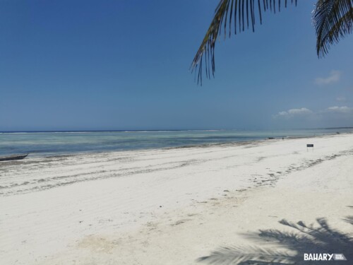 Playas Zanzibar - Matemwe Beach