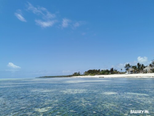 Playas Zanzibar - Paje Beach