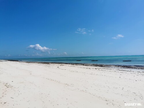 Playas Zanzibar - Pingwe Beach