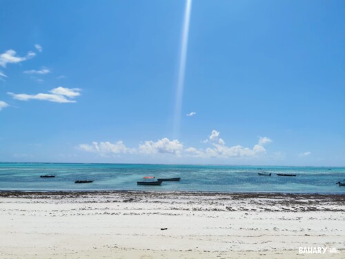 Playas Zanzibar - Pingwe Beach